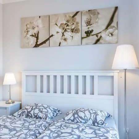 Navigator-port View *