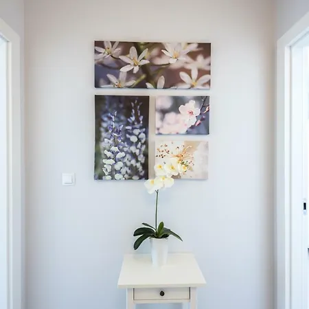 Navigator-port View Kołobrzeg