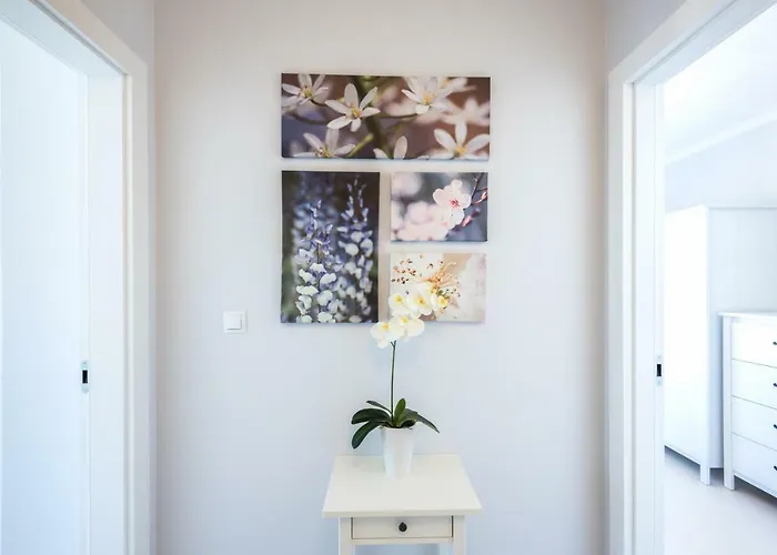 Navigator-port View Kołobrzeg